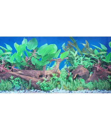 KW Zone Aquarium Backscreen (Picture) 24